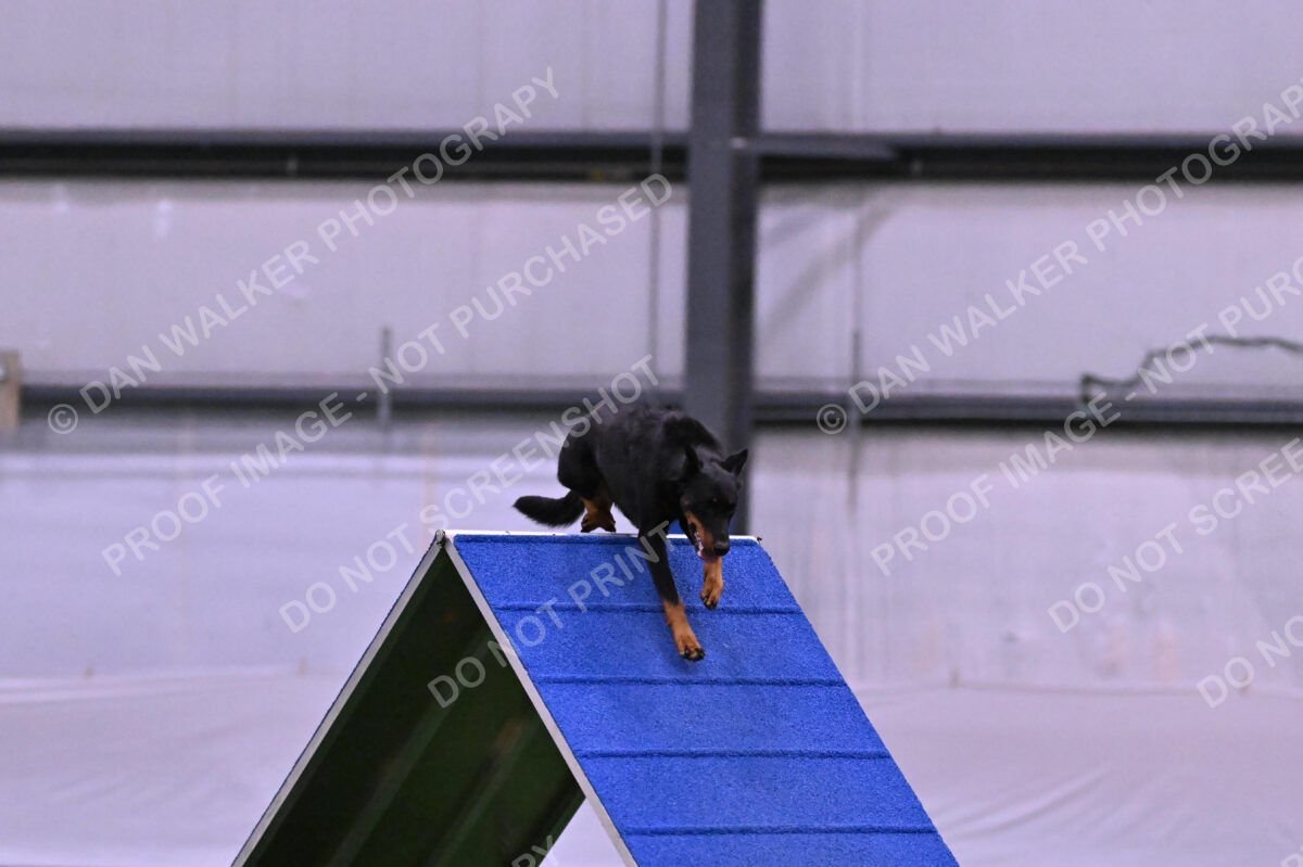 DJW_0639