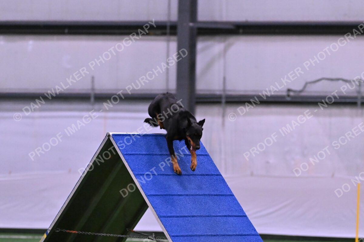 DJW_0640