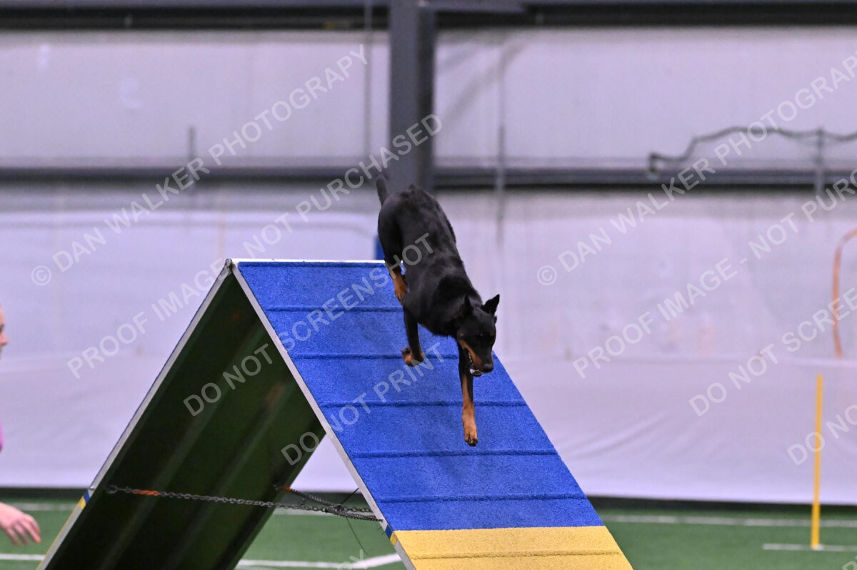 DJW_0642