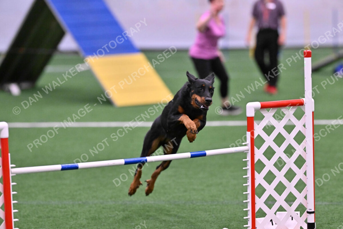 DJW_0649