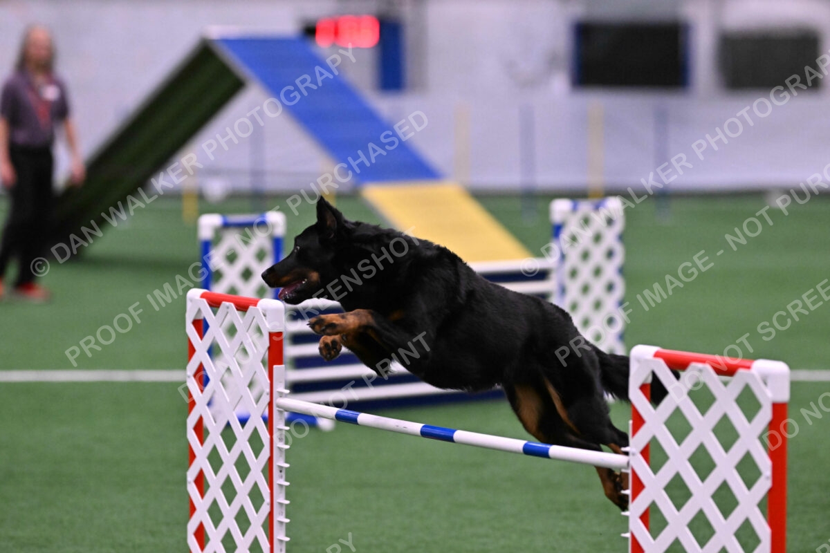 DJW_2645