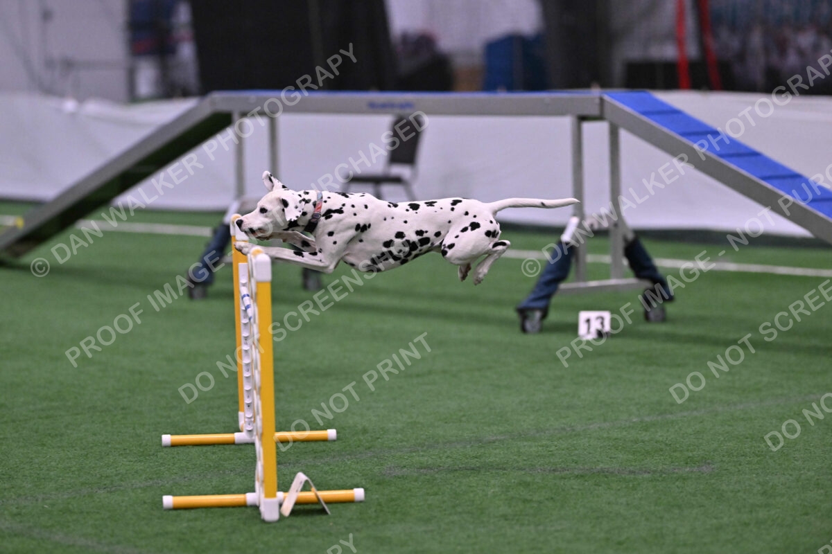 DJW_2905