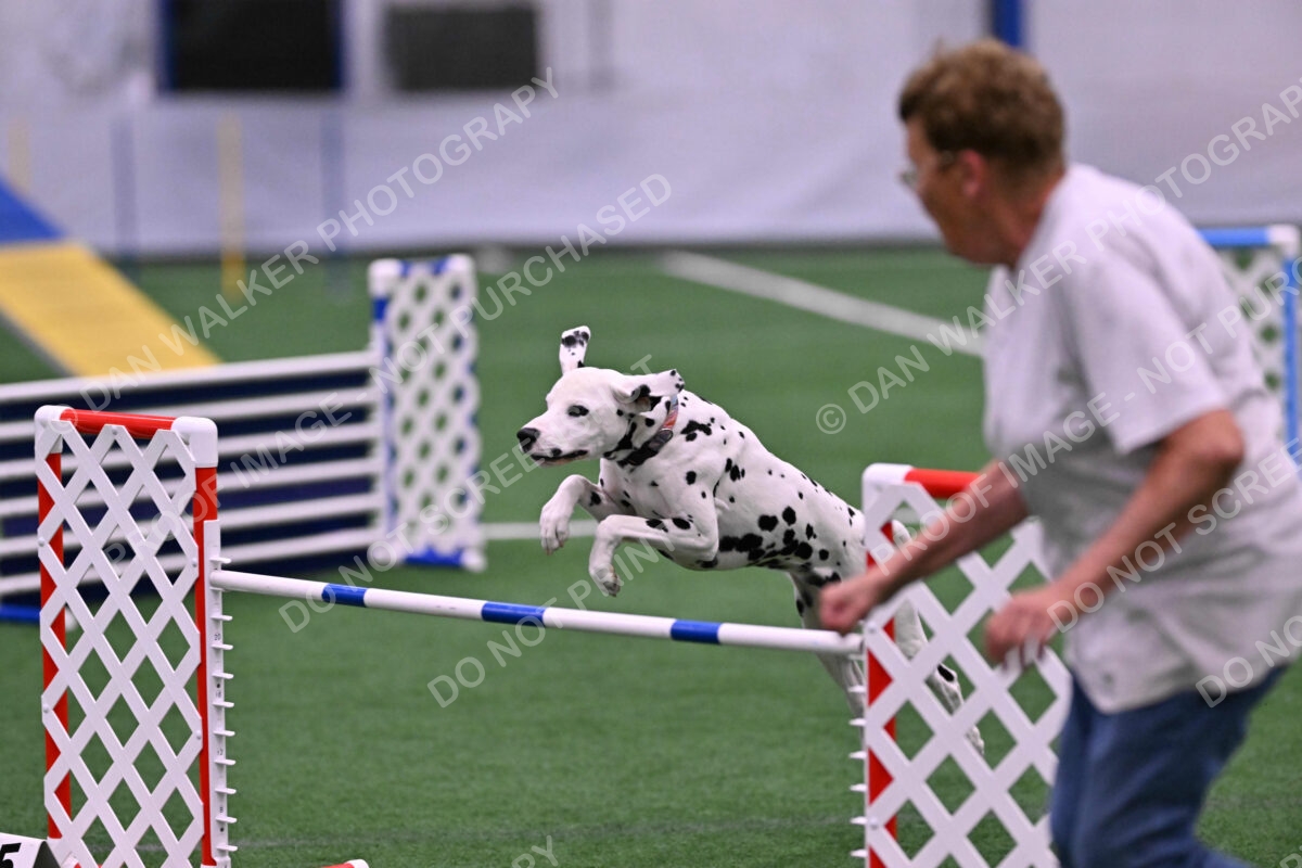 DJW_2910