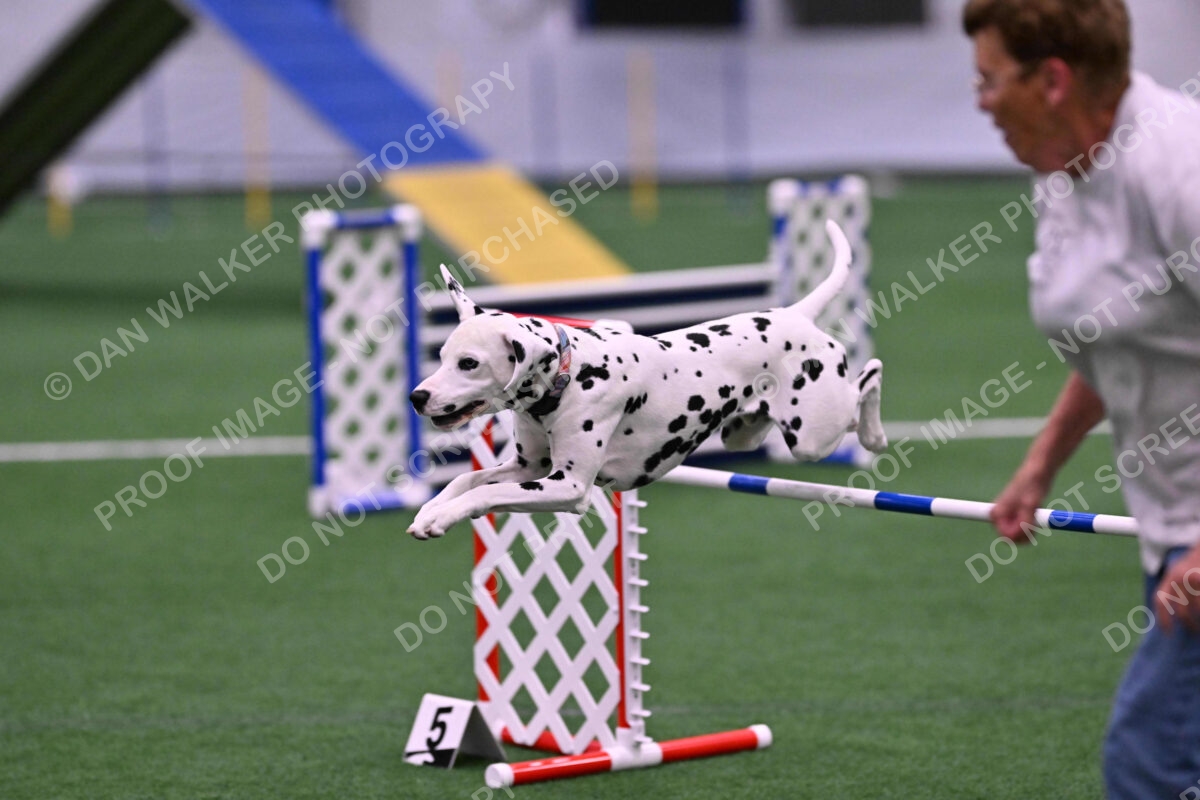 DJW_2913