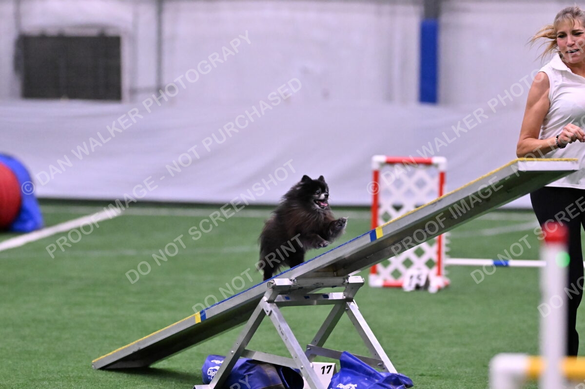 DJW_6401