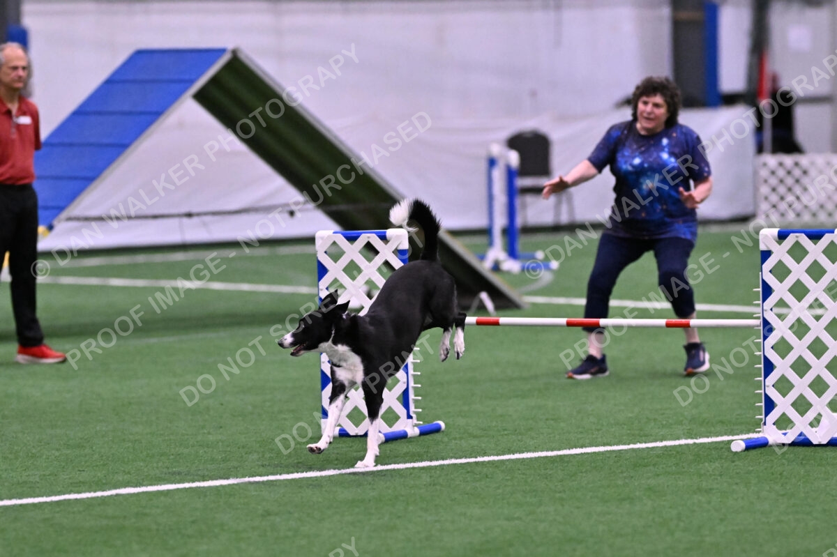 DJW_9861