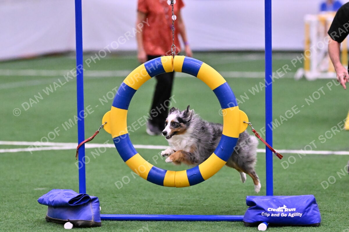 DJW_7767