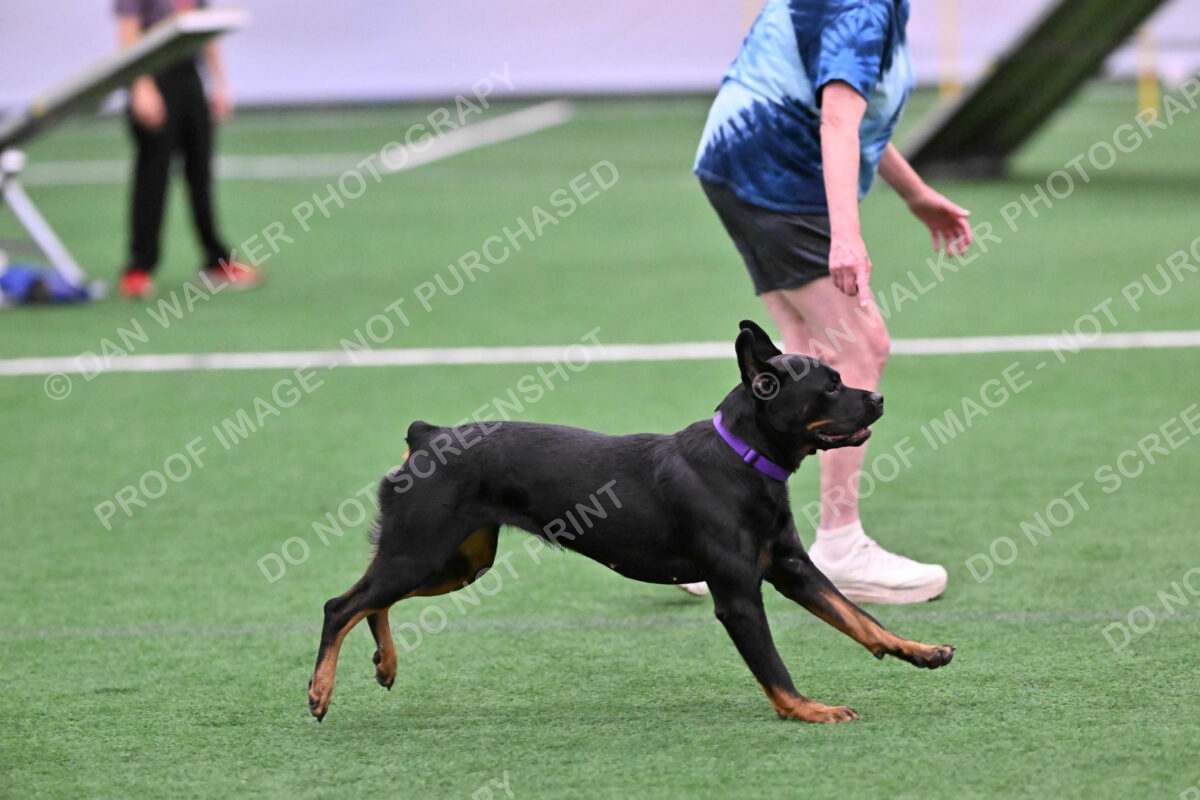 DJW_2457