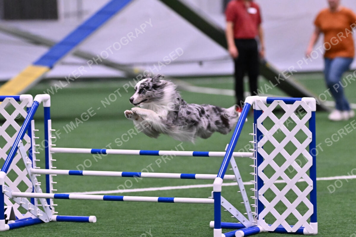 DJW_9860