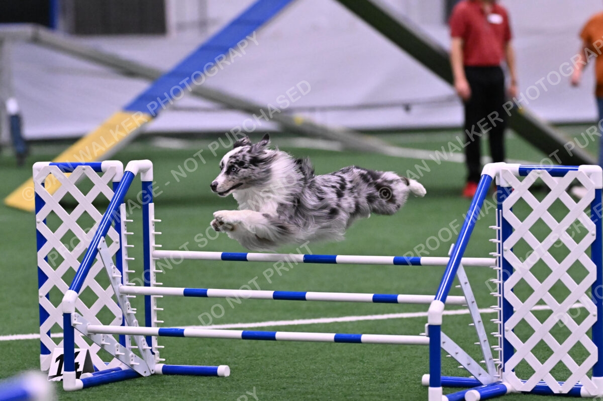 DJW_9861