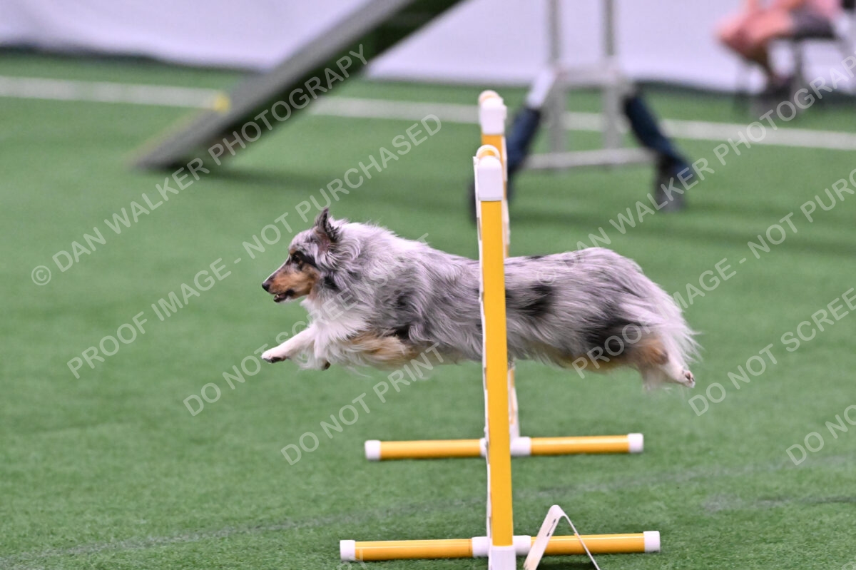 DJW_1549