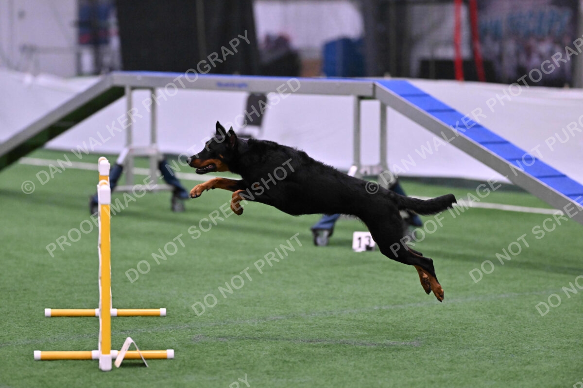 DJW_2873