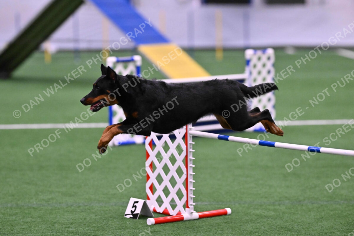 DJW_2882