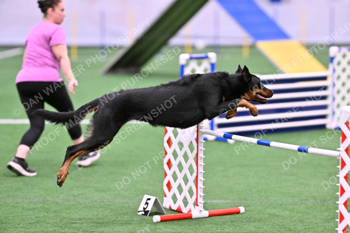 DJW_2889
