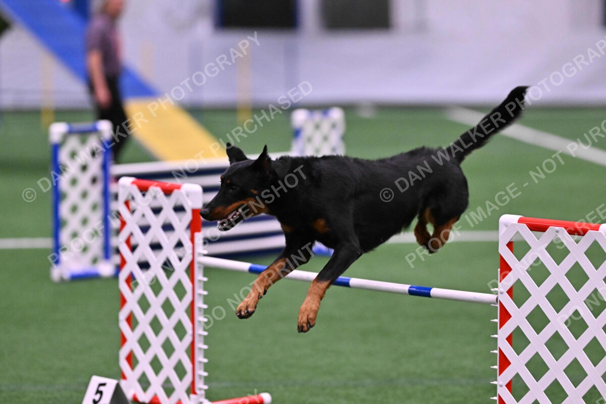 DJW_2901