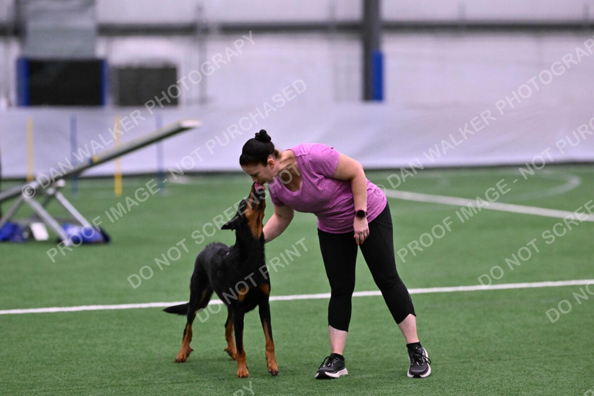 DJW_4019