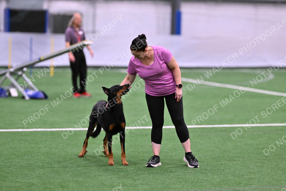 DJW_4028