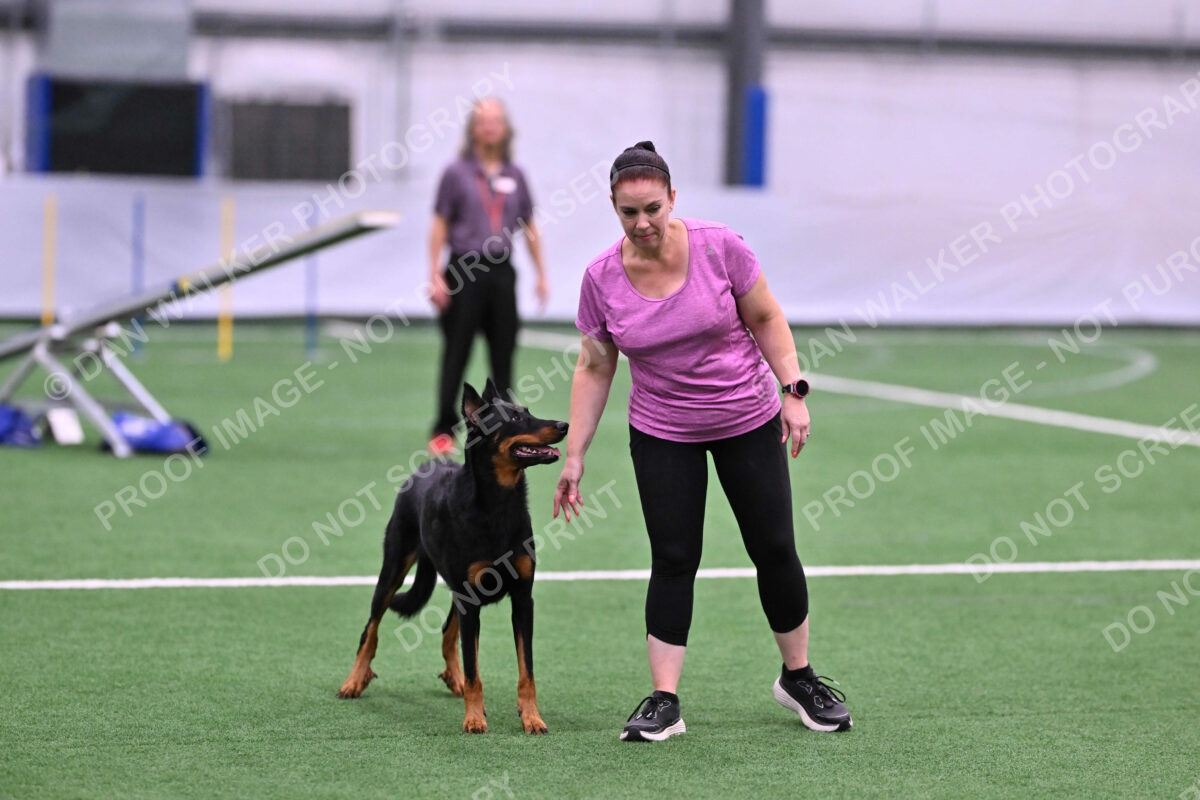 DJW_4039