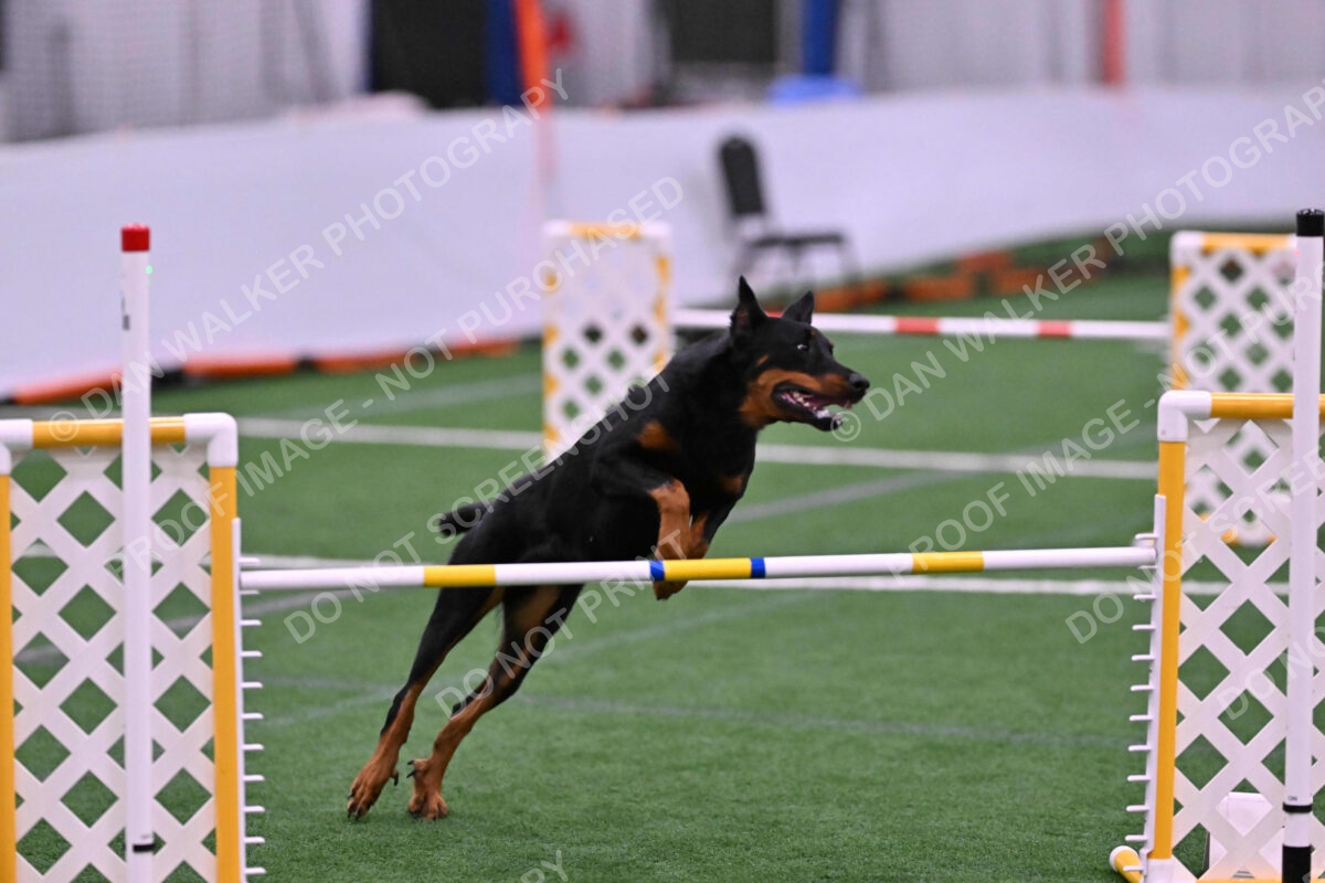 DJW_4064