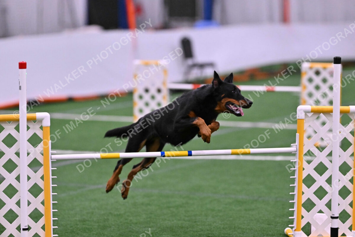 DJW_4065