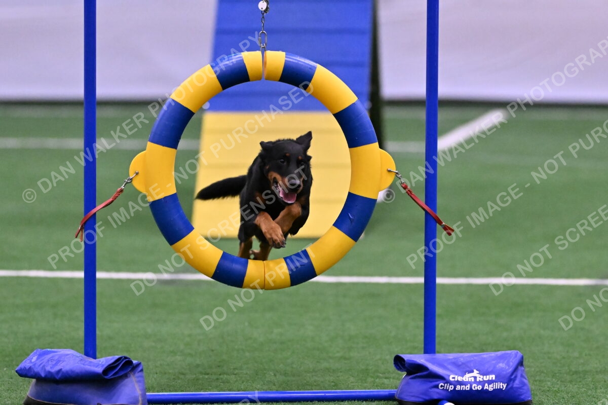 DJW_9026
