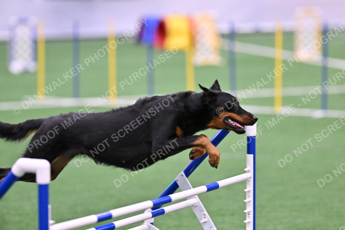 DJW_9039