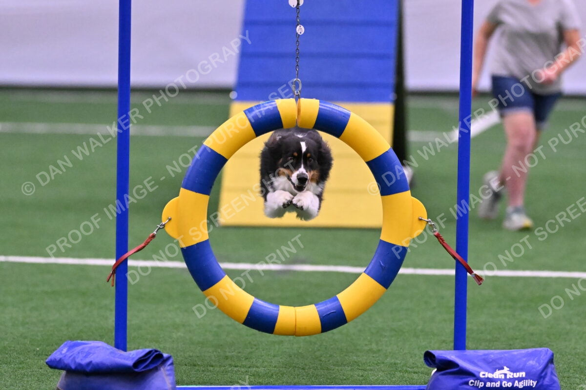 DJW_7913