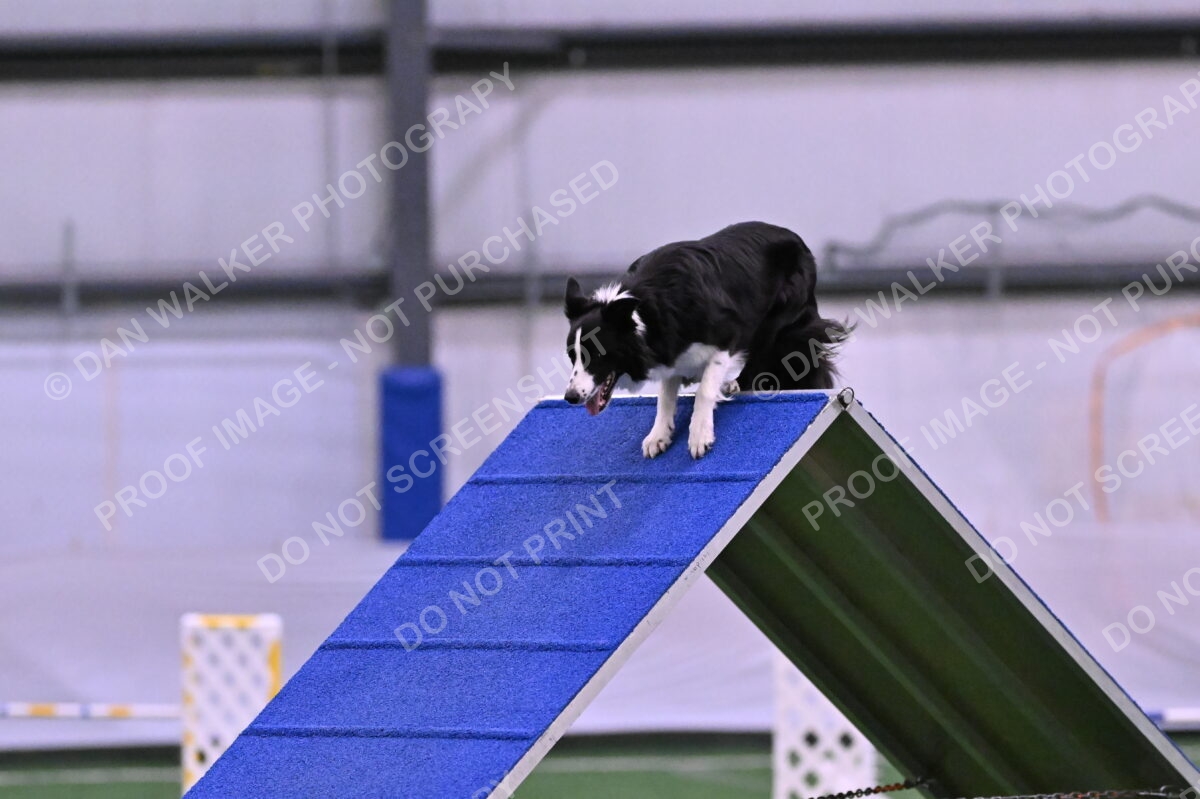 DJW_9747