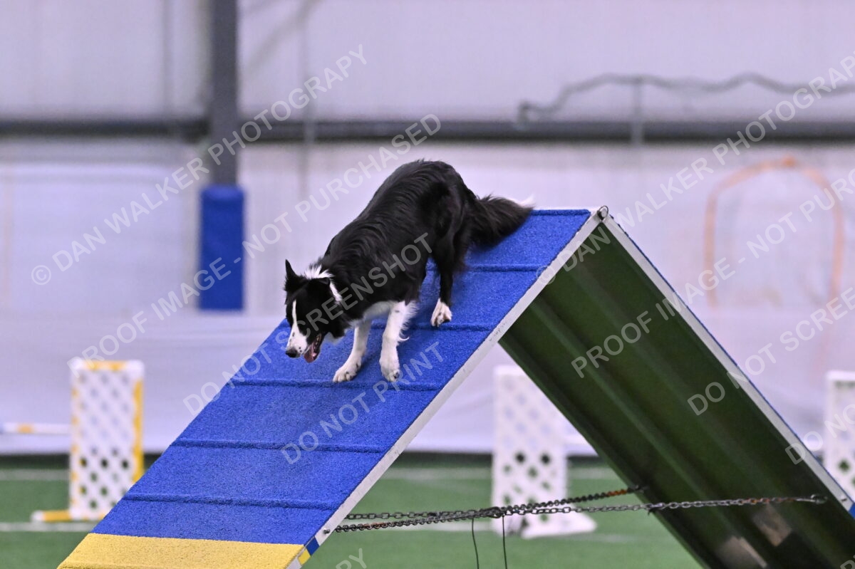 DJW_9753
