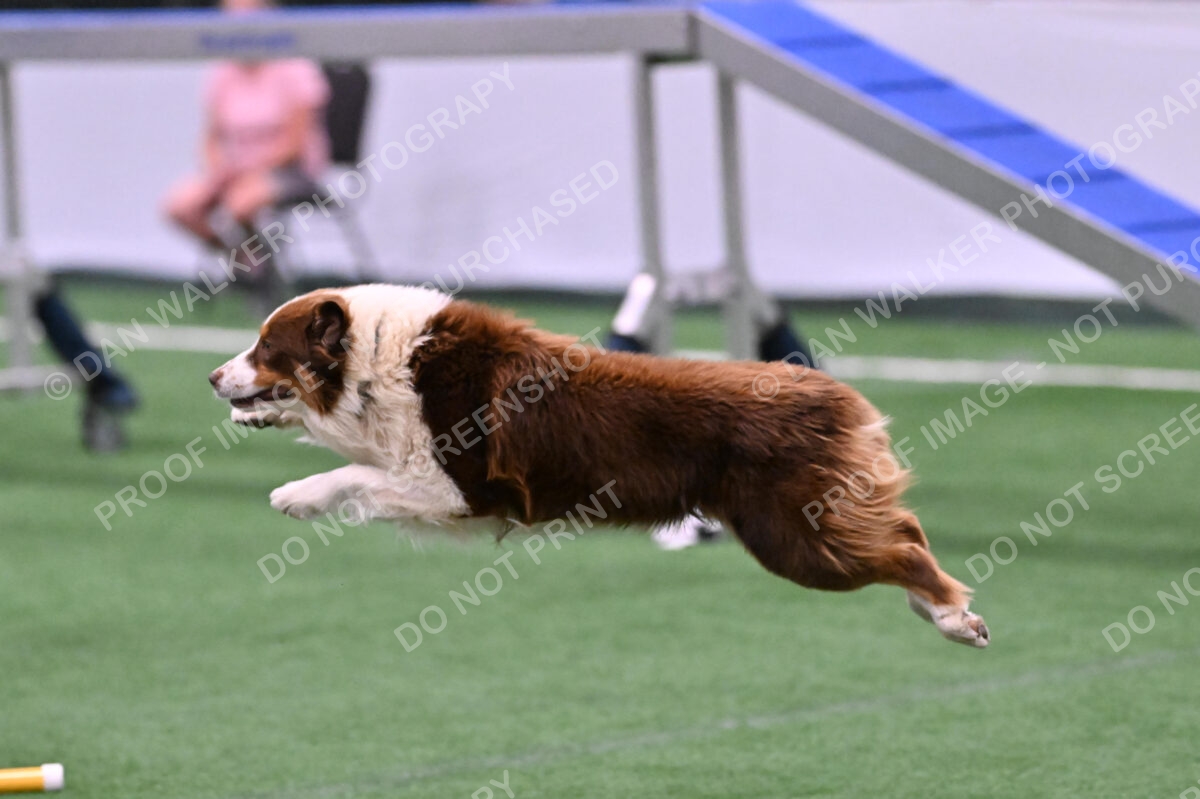 DJW_2282
