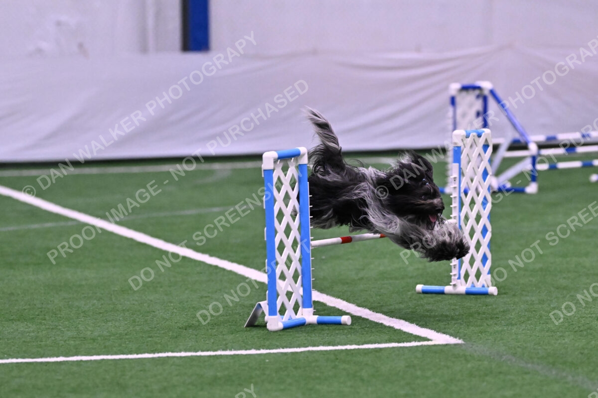 DJW_0096
