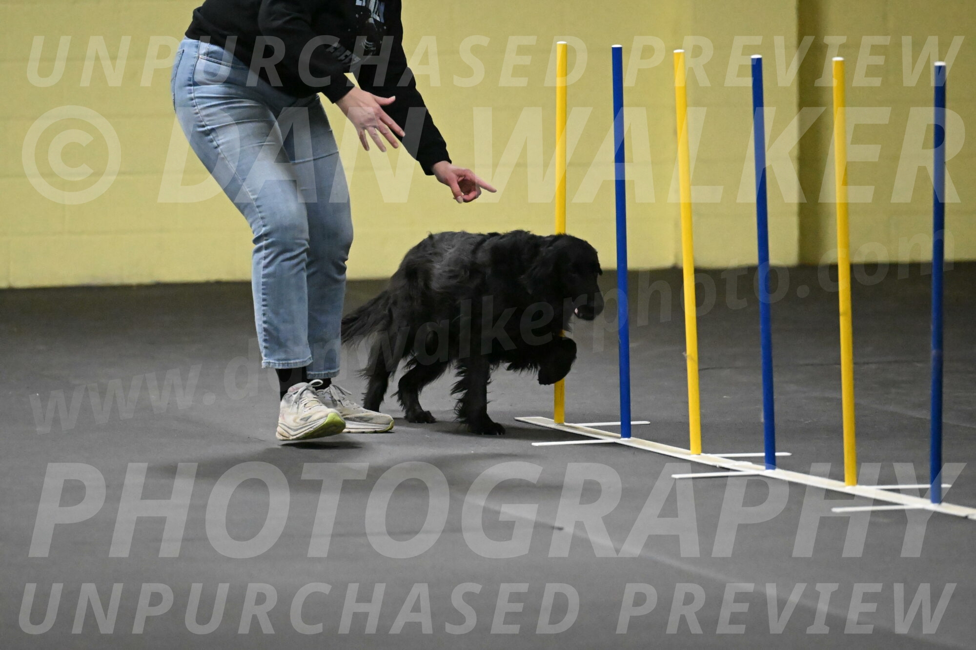 Angel-Everhart-14766