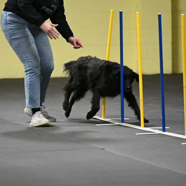 Angel-Everhart-14768