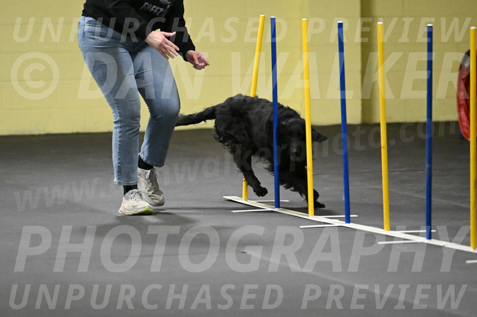 Angel-Everhart-14769