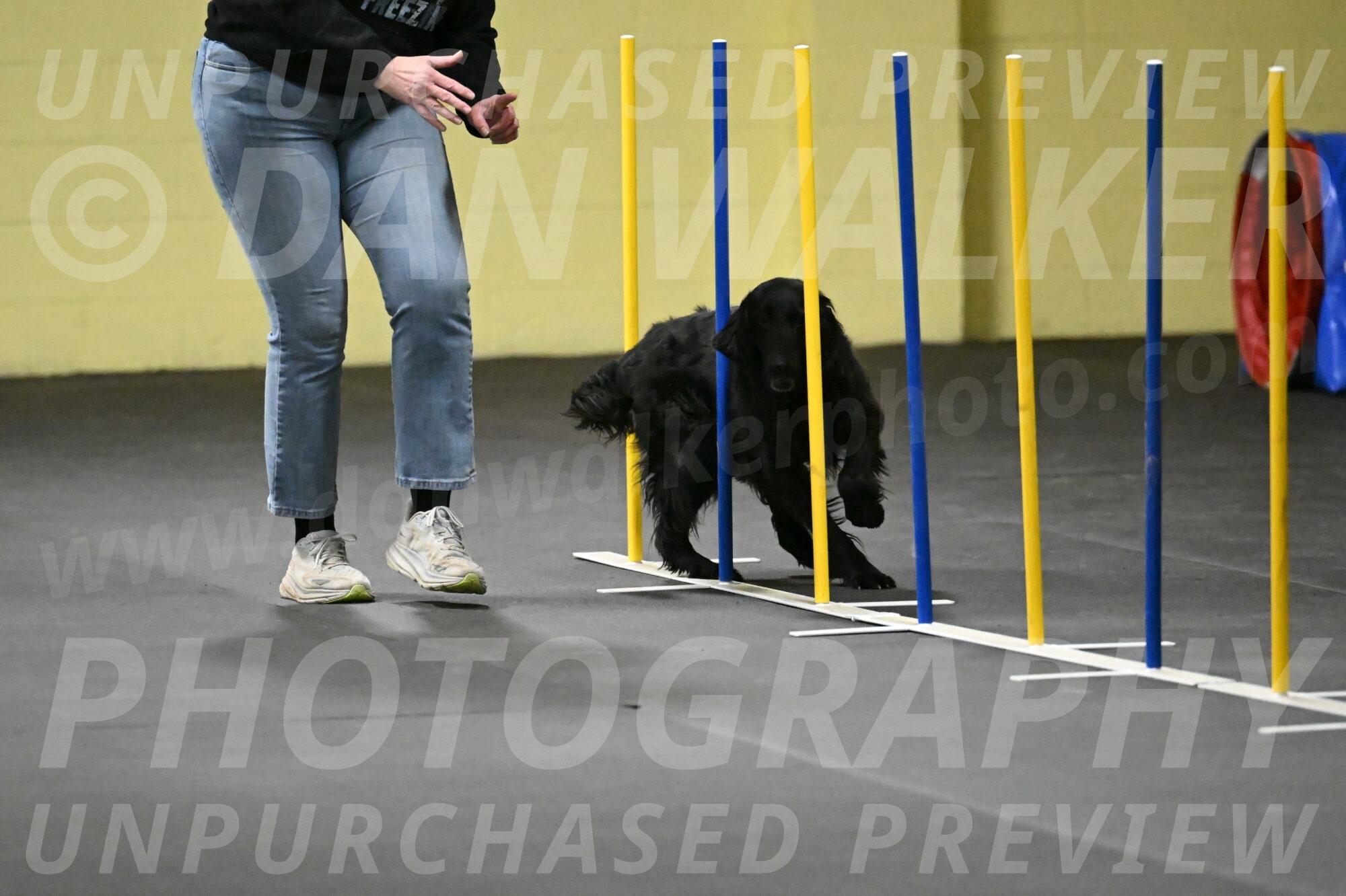 Angel-Everhart-14771