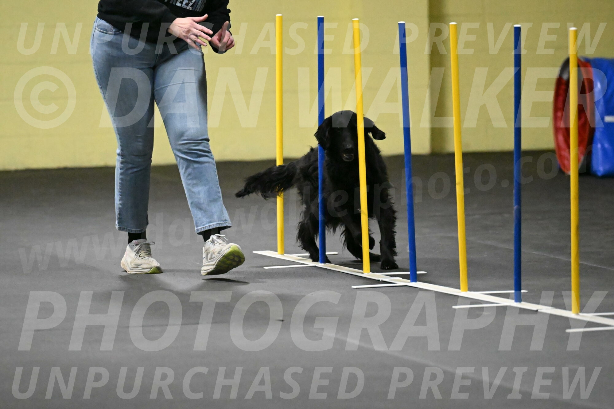 Angel-Everhart-14772