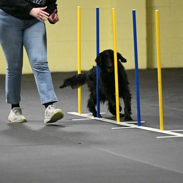 Angel-Everhart-14772