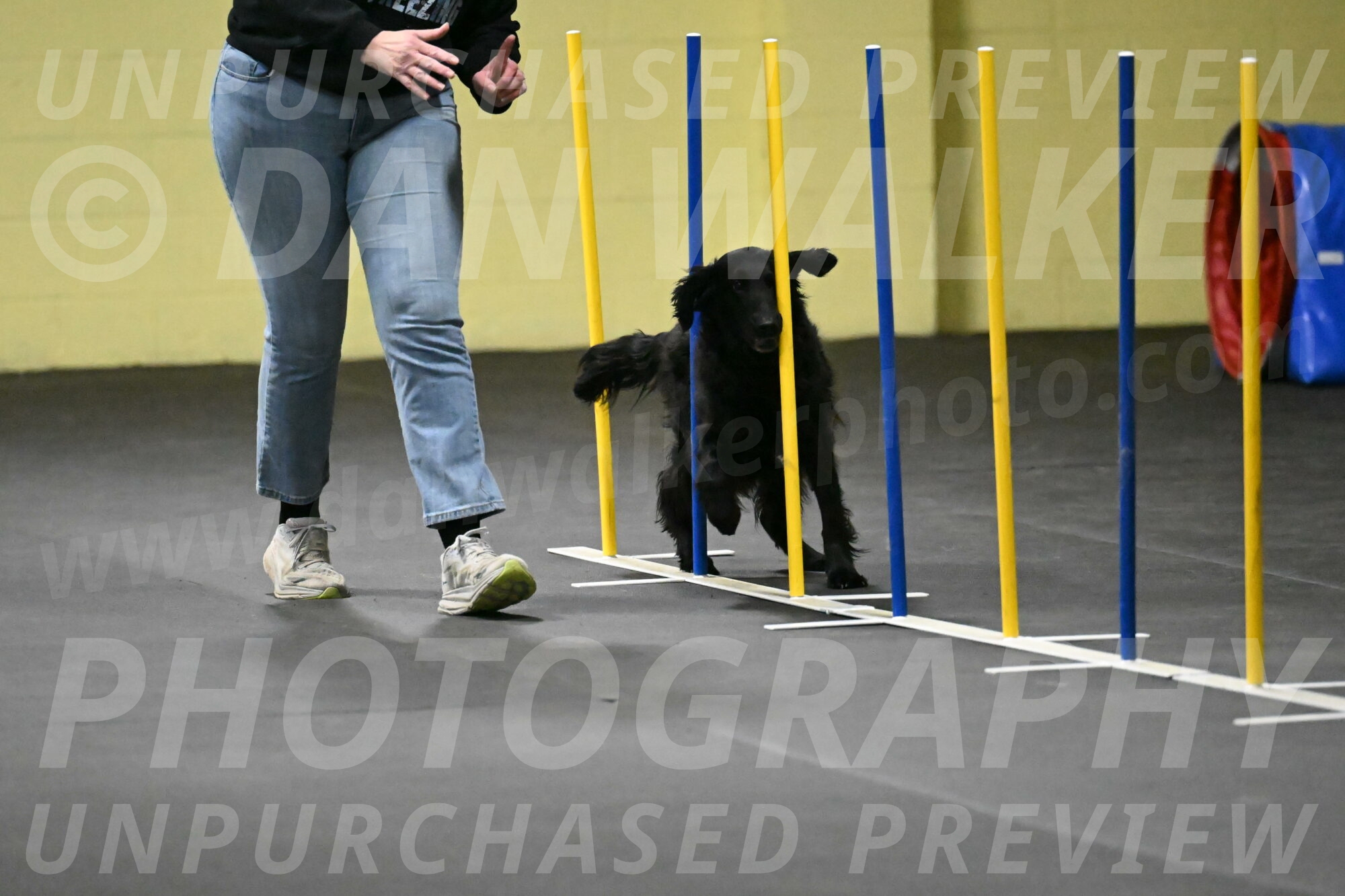 Angel-Everhart-14773