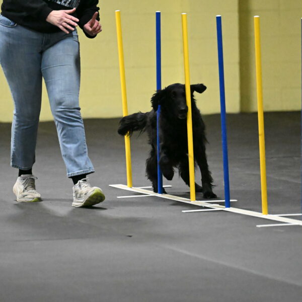 Angel-Everhart-14773