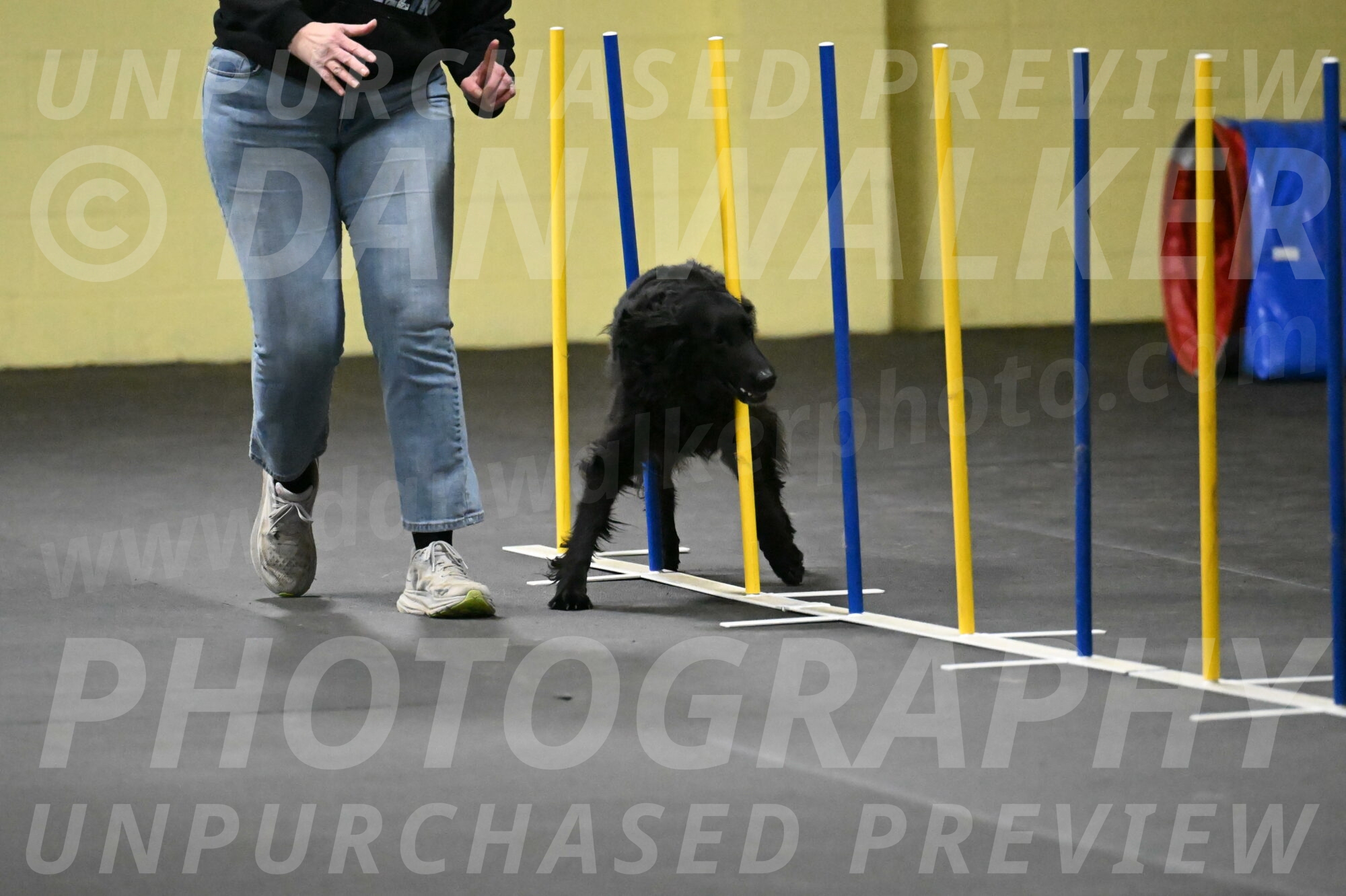 Angel-Everhart-14774