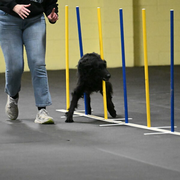 Angel-Everhart-14774