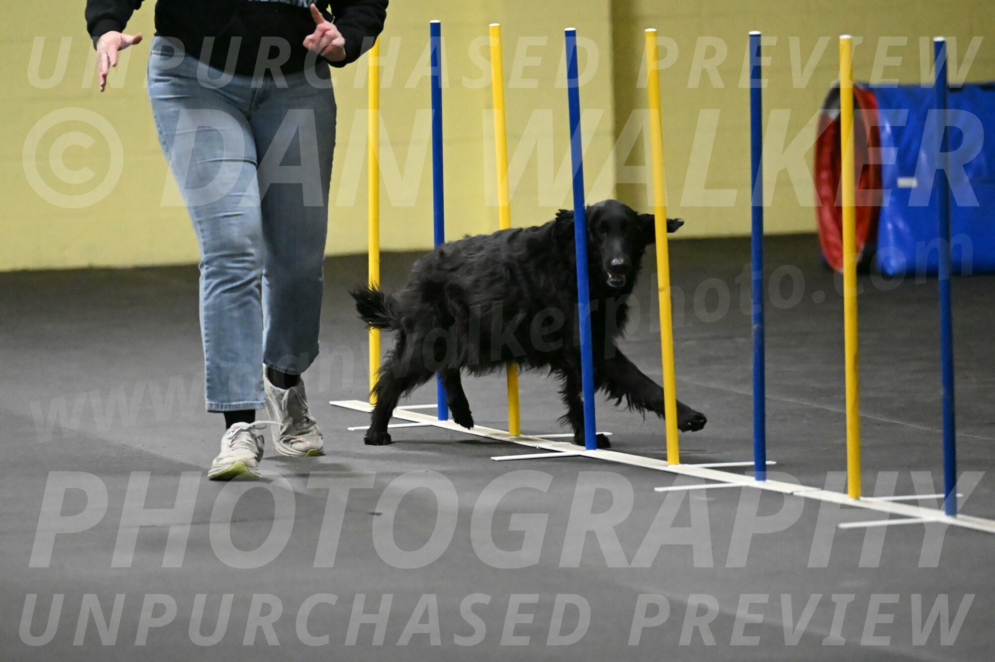 Angel-Everhart-14778