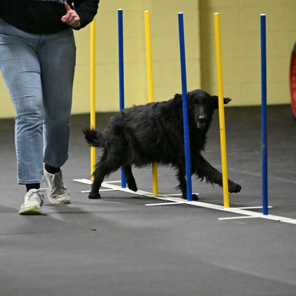 Angel-Everhart-14778