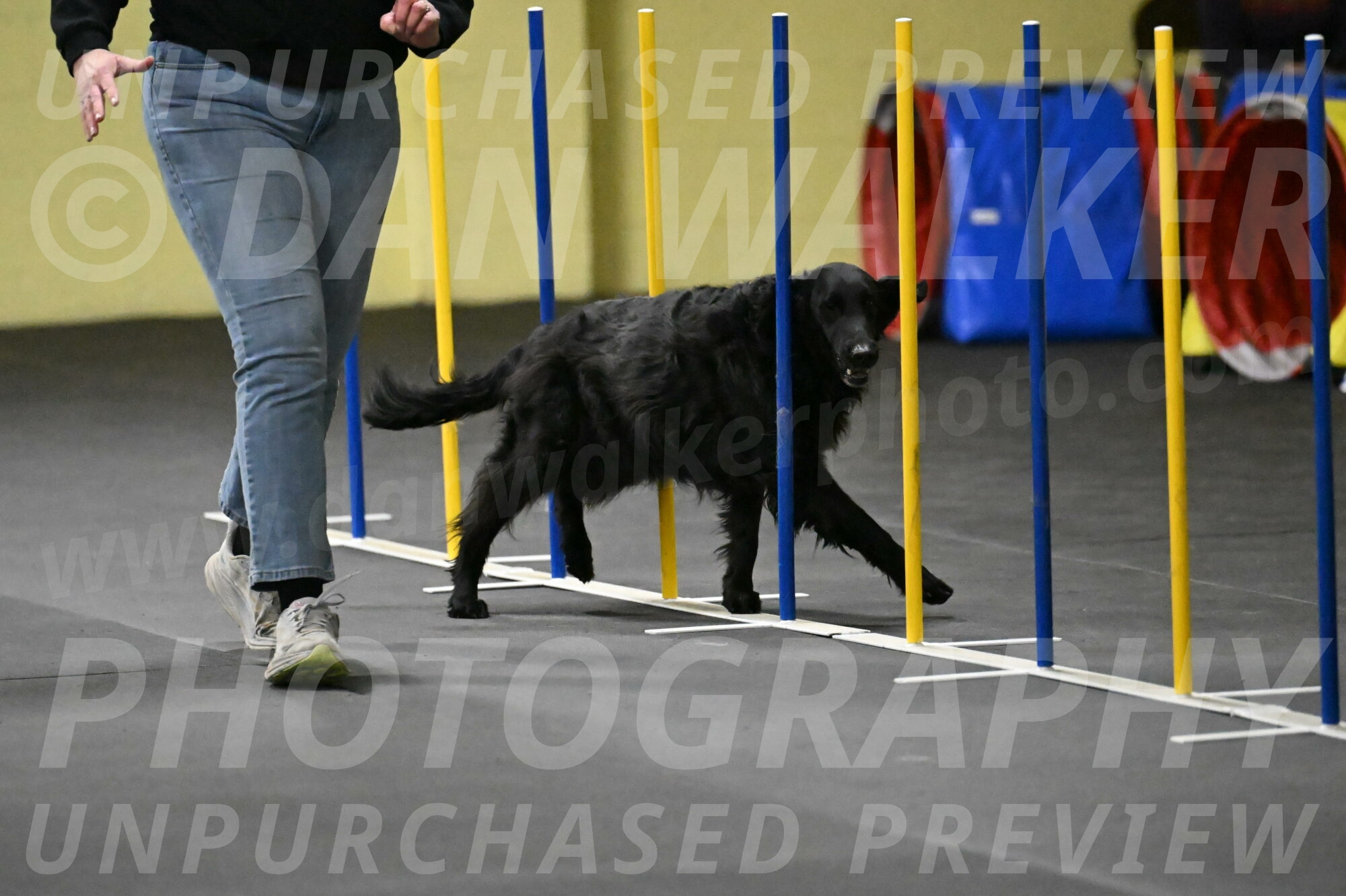 Angel-Everhart-14784