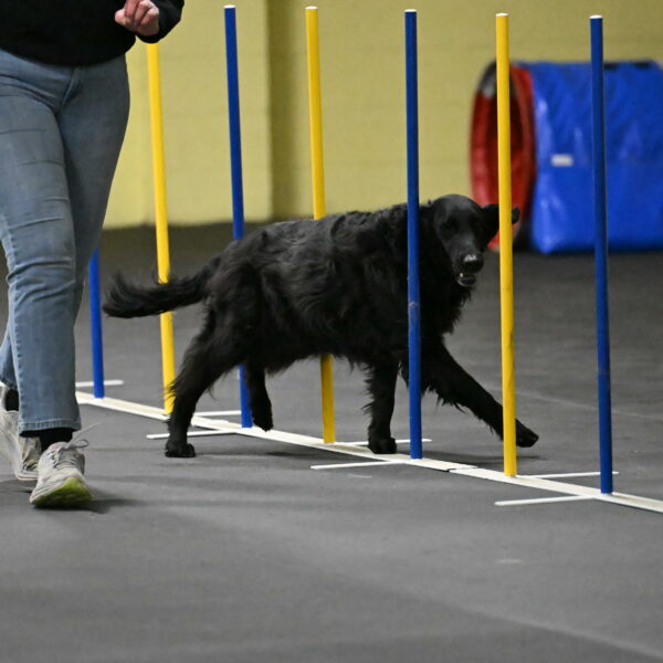 Angel-Everhart-14784