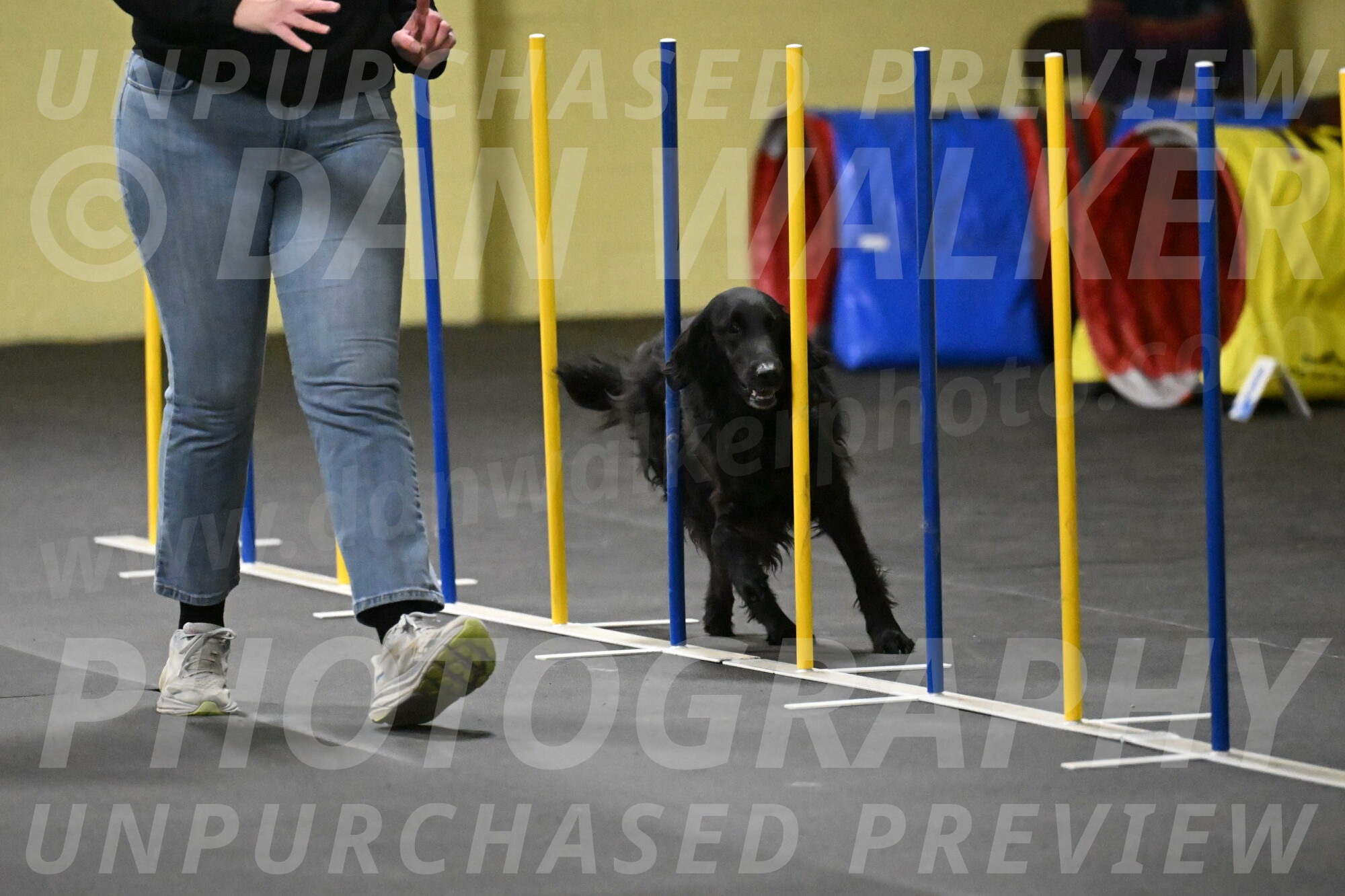 Angel-Everhart-14787