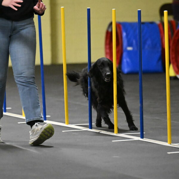 Angel-Everhart-14787