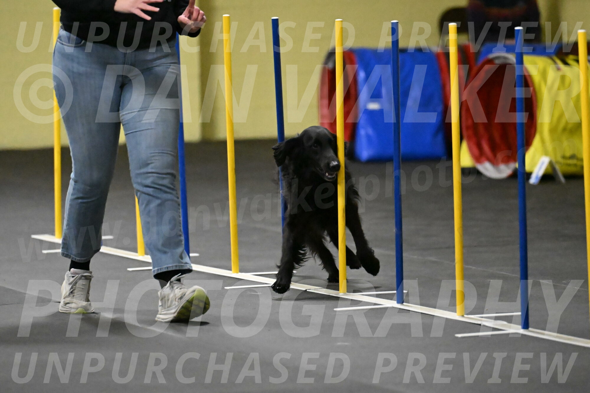 Angel-Everhart-14788