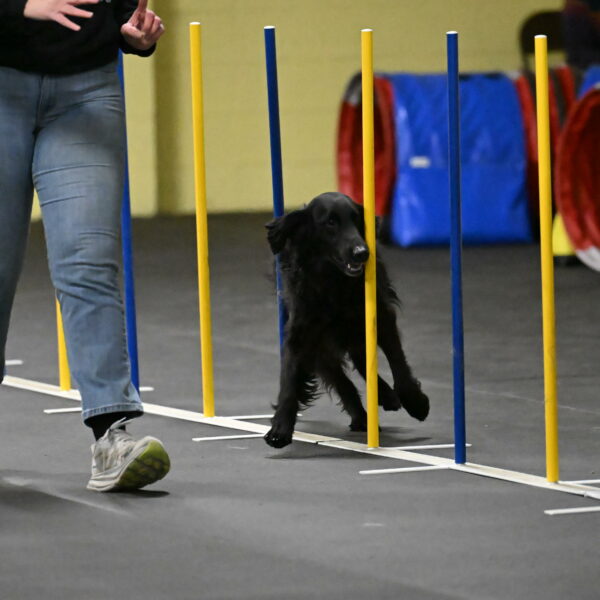 Angel-Everhart-14788