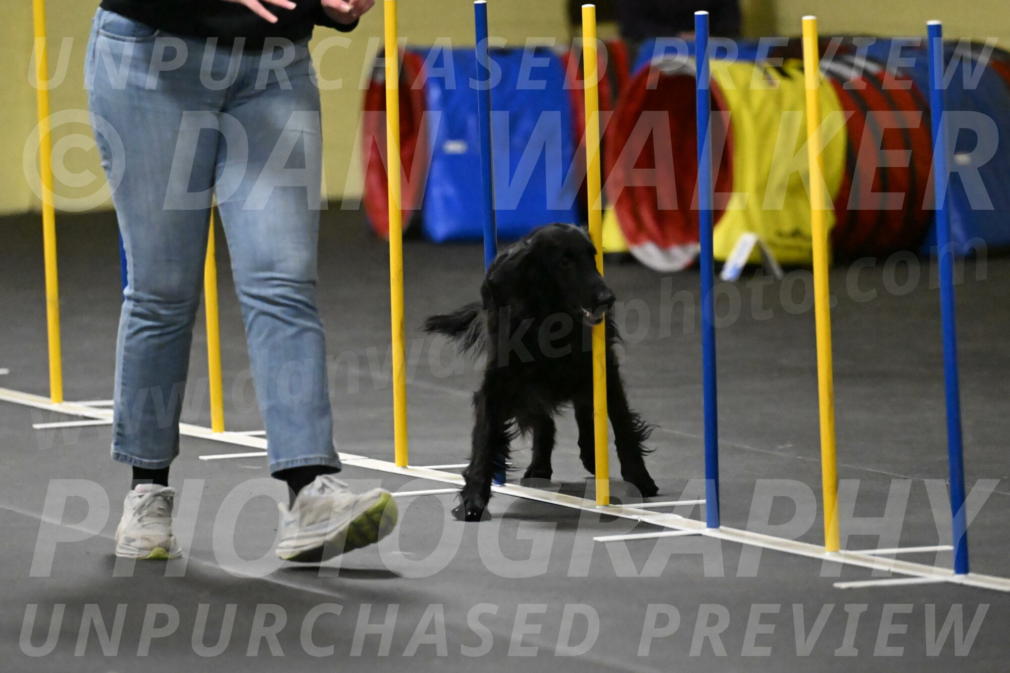 Angel-Everhart-14797